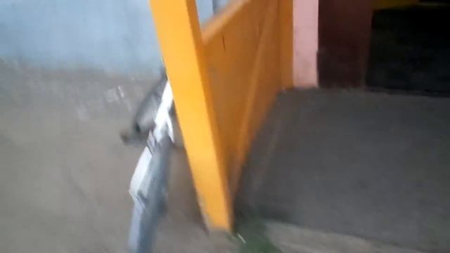 VLOG:Едем купаться, паркур!!! смотреть онлайн