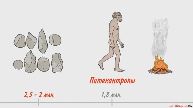 Происхождение человека. Антропогенез. Биология 11 класс. Эволюция смотреть онлайн