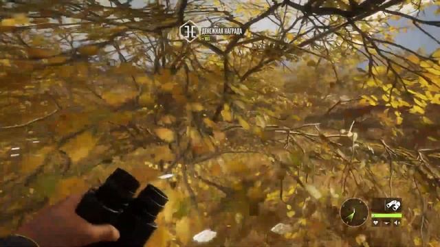 СИМУЛЯТОР ХОДЬБЫ ПО ЛЕСУ! Снимаем стресс вместе с theHunter: Call of the Wild, охота на оленя смотреть онлайн