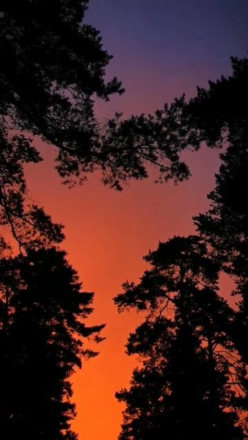 #Закат. Тургояк. #Sunset. Turgoyak. смотреть онлайн