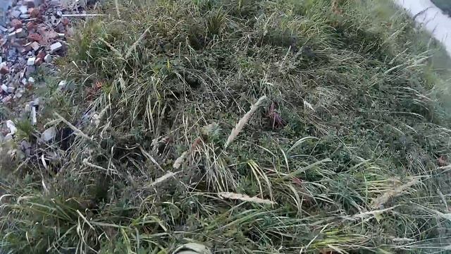 Упал в яму. Страйкбол / Airsoft accident смотреть онлайн