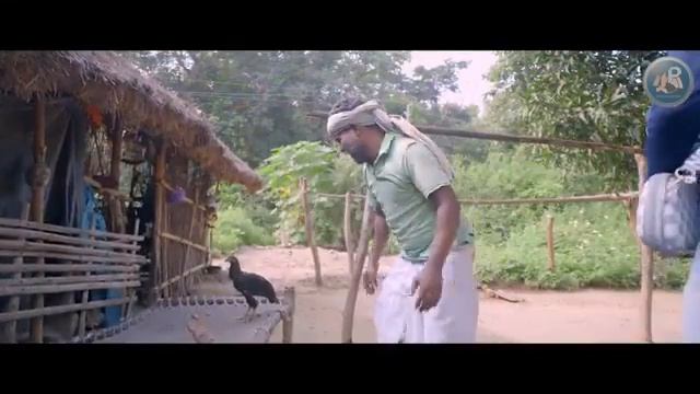 new j. R. M santelo video 2023 🥲🥲 জাতাডুমু বরিকুল মুকুটবনিপুর বাকুডা ...... смотреть онлайн