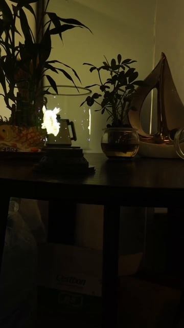 hologram projector 360 degree 3d fan смотреть онлайн