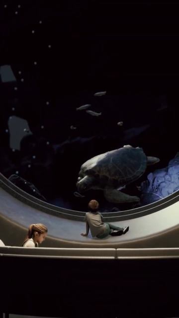 Monster shark : Twinmotion CG animation смотреть онлайн