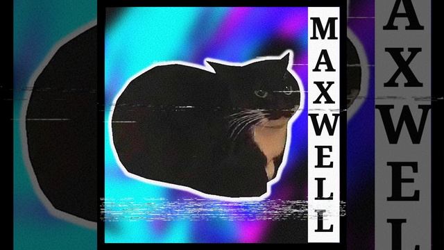 MAXWELL THE CAT PHONK