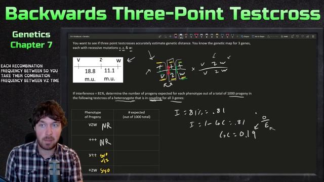 Backwards Three-Point Testcross Example | Genetics смотреть онлайн