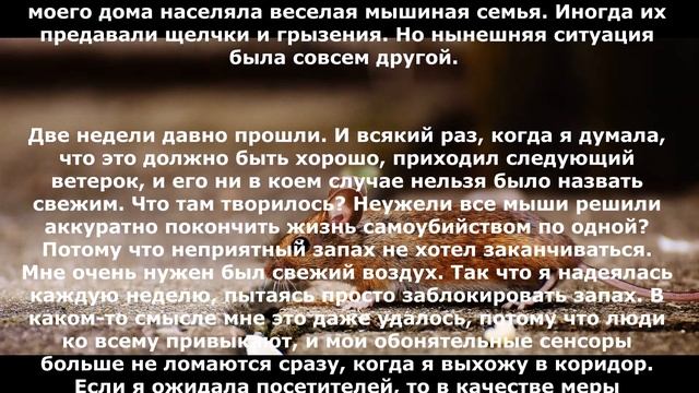 Смена воздуха смотреть онлайн