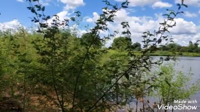 limpar a psicosfera da terra. vital frosi смотреть онлайн