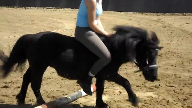 SAM_2216.MP4 смотреть онлайн