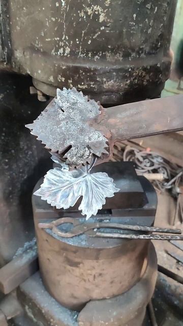 Виноградный лист