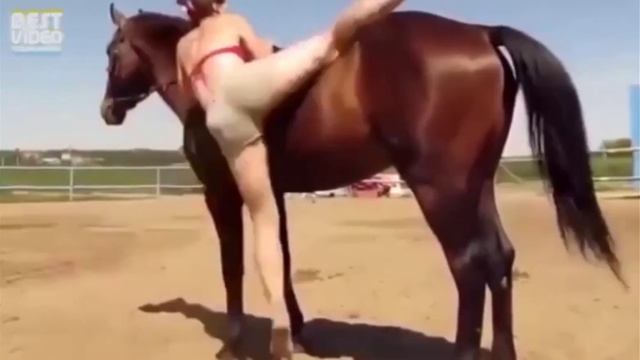 когда лошадь умнее тебя смотреть онлайн