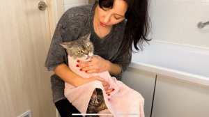 Тестируем сетку для купания котика