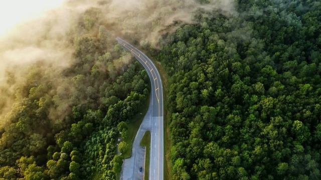 Relaxing Music For A Calmer Morning - Unbelievable Results! смотреть онлайн