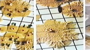 [РУС/RUS] Backrooms - Autopsy Report | Kane Pixels | Дубляж | На русском