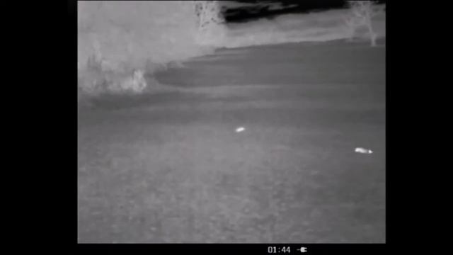 Thermal Roof Spotter Footage смотреть онлайн
