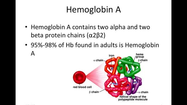 What are different Hemoglobins смотреть онлайн