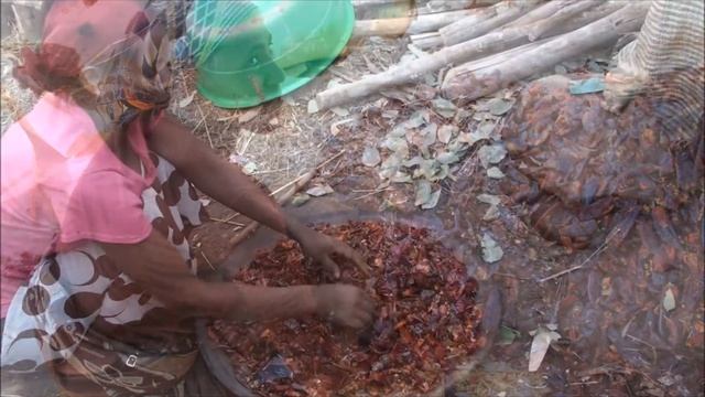 Ethiopian food and coffee смотреть онлайн