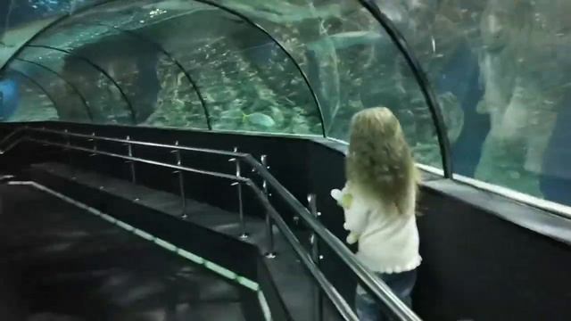 Как мы посетили океанариум. смотреть онлайн