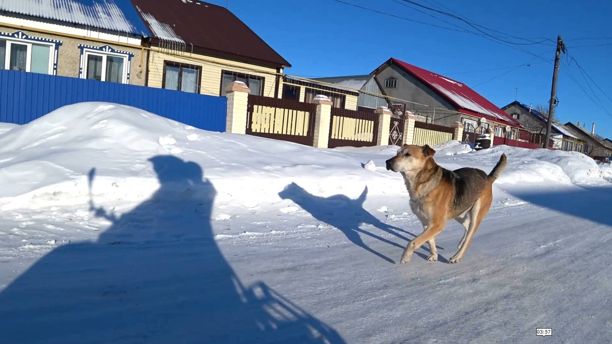 Верный пёс передает привет, встречает и провожает хозяина смотреть онлайн