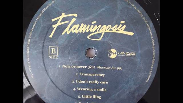FLAMINGOSIS ~ PLEASURE PALETTE FULL ALBUM 2015 смотреть онлайн