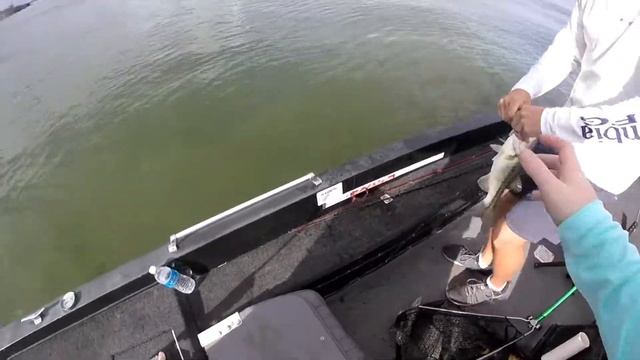 Lake Grapevine Tx, 2 pound 6 oz fish. First Vid!! смотреть онлайн