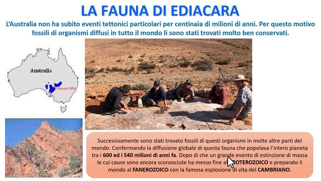 CORSO DI CLIMATOLOGIA - Lezione 5 - L'ESPLOSIONE DEL CAMBRIANO смотреть онлайн