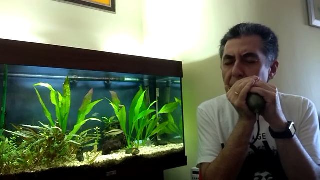 THE THRILL IS GONE - HARMONICA COVER смотреть онлайн