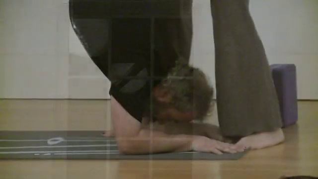 Yoga Barn смотреть онлайн