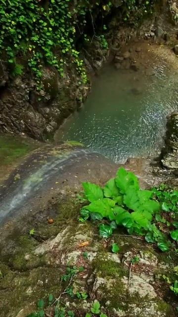 #shorts #waterfall #relaxing #relax #nature смотреть онлайн