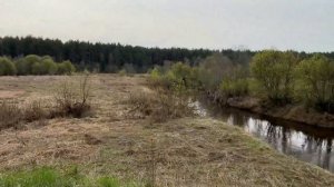 Сплав по реке Андоба Костромская область 2024г