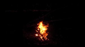 Костер в ночном лесу, звуки природы, пение птиц