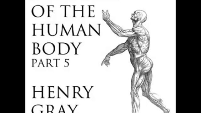 Anatomy of the Human Body (FULL Audiobook) - part (35 of 39) смотреть онлайн