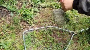 ВЫЖИВАЛОВО ОТБИРАЕТ ЕДУ У ОС