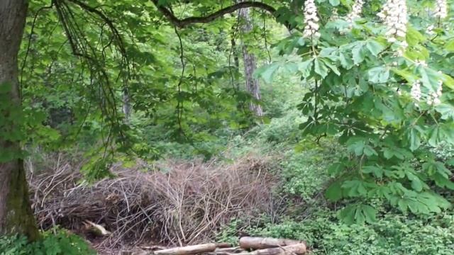 Ausflug Zur Seevorstadt In Biel - Экскурсия по окраине речного города Биль