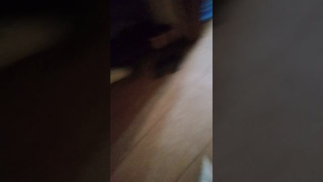 💗реборны🍼 смотреть онлайн