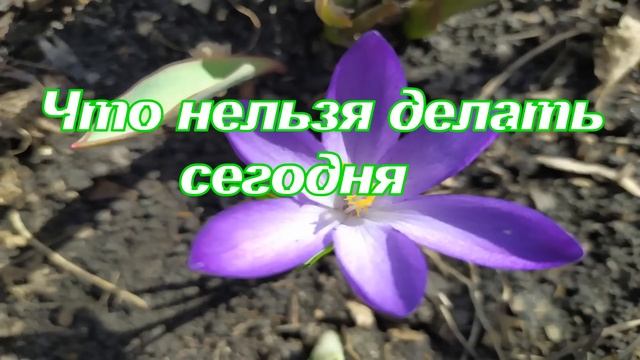 15 апреля ДЕНЬ ТИТА. Народный праздник. Приметы дня. Главные запреты смотреть онлайн
