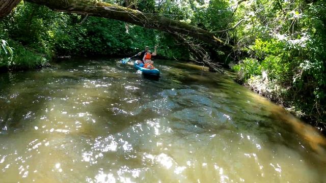 Прогулка в День рождения по Осетру 18062022 смотреть онлайн