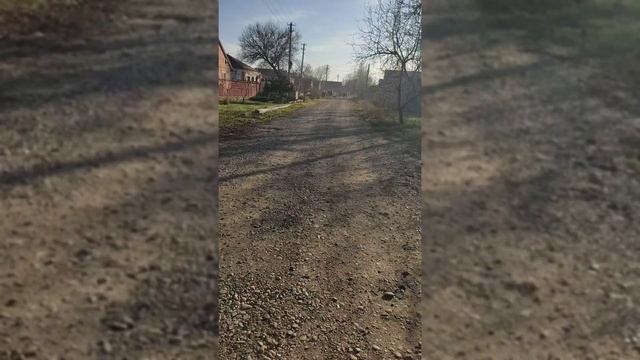 теперь нас 7.неделя енотов смотреть онлайн