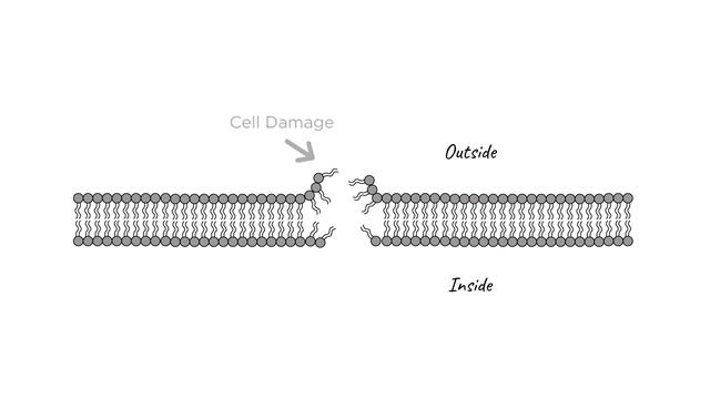 Dual-natured ATP: An energy molecule and a danger signal смотреть онлайн