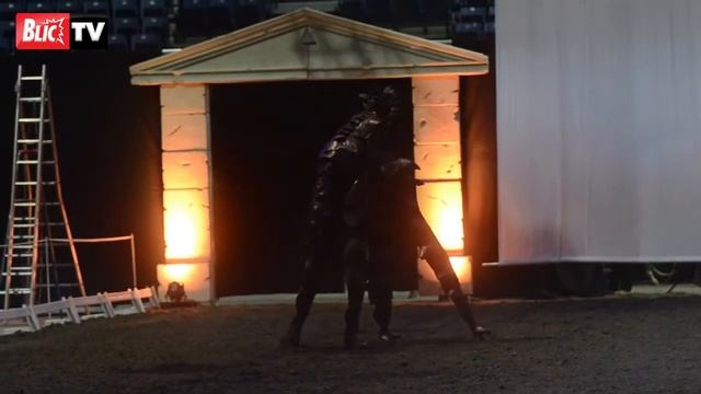Royal horse gala u Kombank areni смотреть онлайн