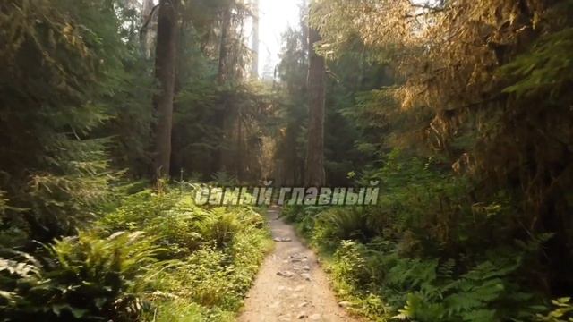 Как постановка цели помогает достигать всего что захочешь | СИЛЬНЫЕ СЛОВА смотреть онлайн