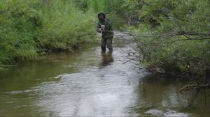 ЧУДО!!!Тут рыбы больше чем воды и это вам не щука