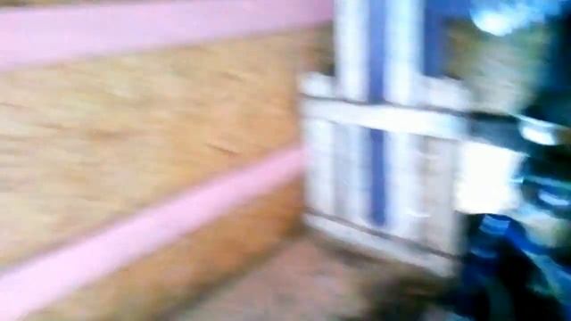 Прелесть после Нового Года. Управляюсь в стайке .Куры,Гуси смотреть онлайн