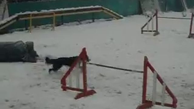 Кира А3 смотреть онлайн