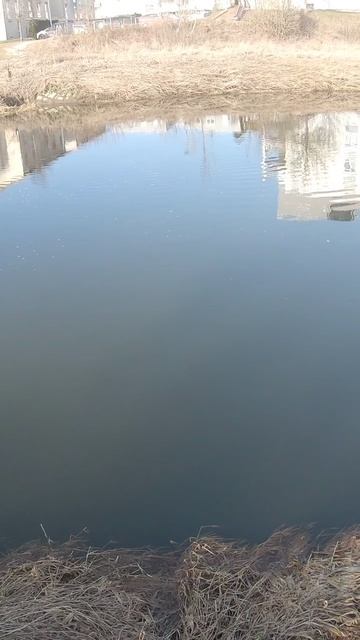 Ловля щуки на спиннинг зимой под песенку! Рыбатская песенка смотреть онлайн