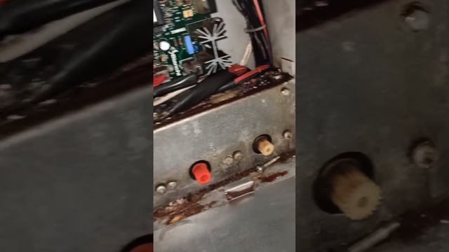 Поражения от гризачи във вендинг автомат.Warning !!! Mouses.🐭 смотреть онлайн
