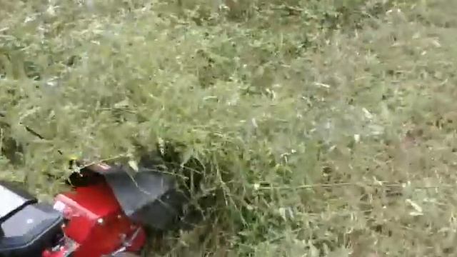 MTD Field Mower смотреть онлайн