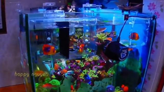 My tank 48 смотреть онлайн