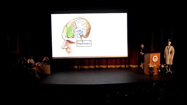 SSM BioScience Research Presentation 2018-19 #1 смотреть онлайн