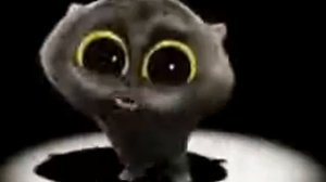 Кот поет 1 час